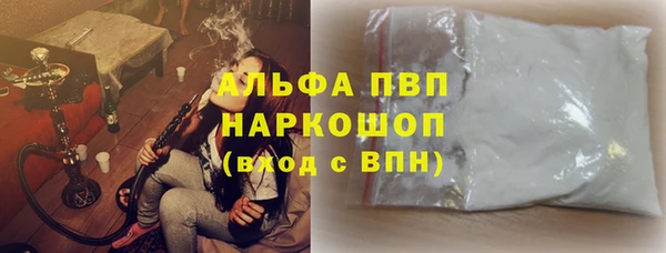 гашик Алзамай