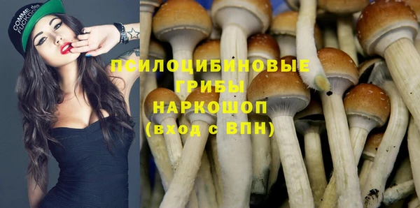 герыч Алексин